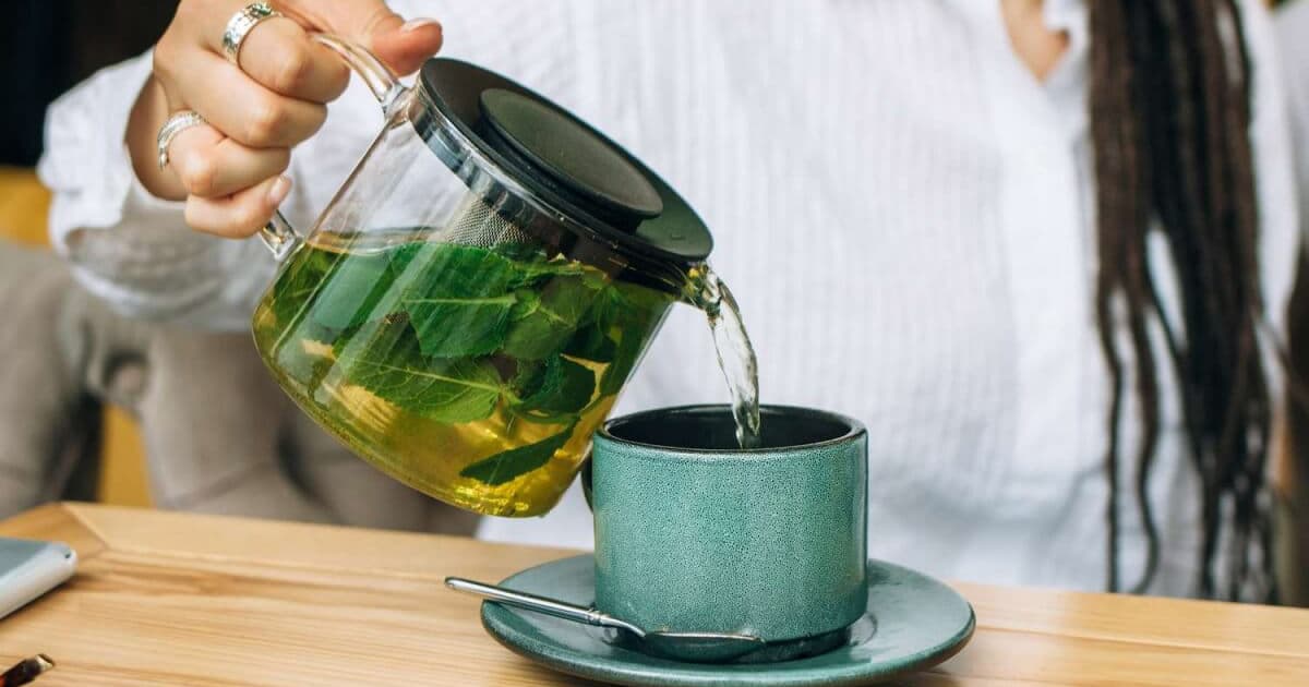 Hướng dẫn cách nấu lá trà xanh tươi để uống - Trà Rồng Vàng