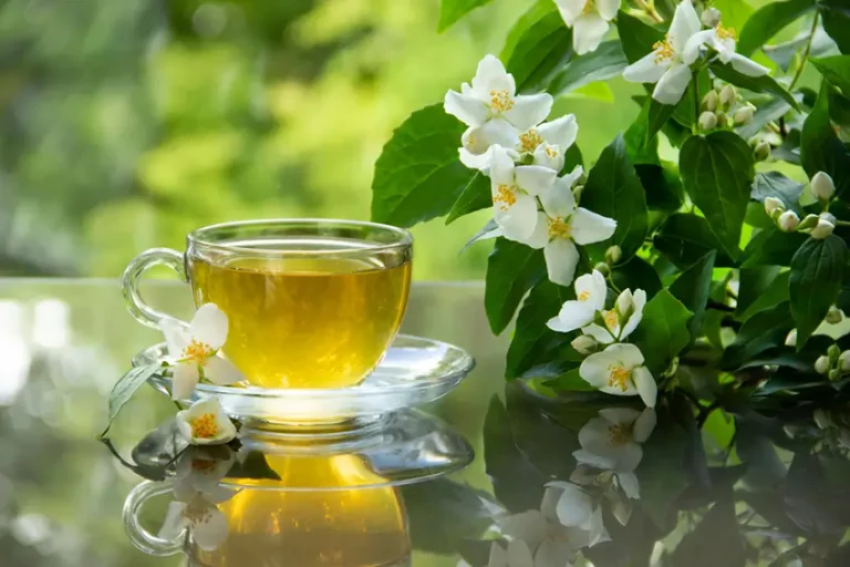 Lục trà lài: Hương vị thanh tao và bí mật từ thiên nhiên