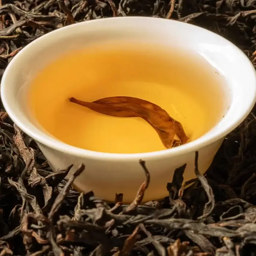 Cách ủ trà olong