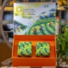 SET MỘC VÂN TRÀ