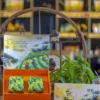 SET MỘC VÂN TRÀ