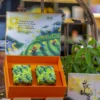 SET MỘC VÂN TRÀ